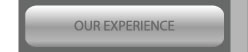 OUR EXPERIENCE